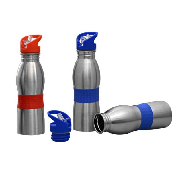 Single Wall Steel Bottle with Straw, 600ml (Omega)