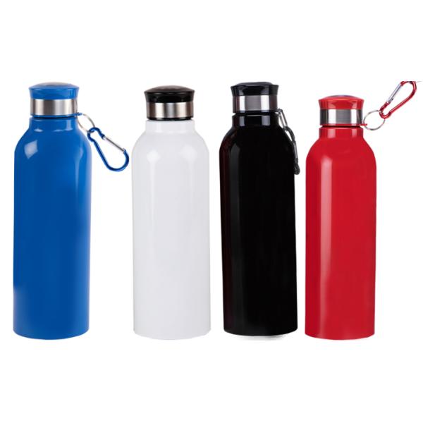 Stainless Steel Bottle with Carabiner, 750ml (Sippon-23)